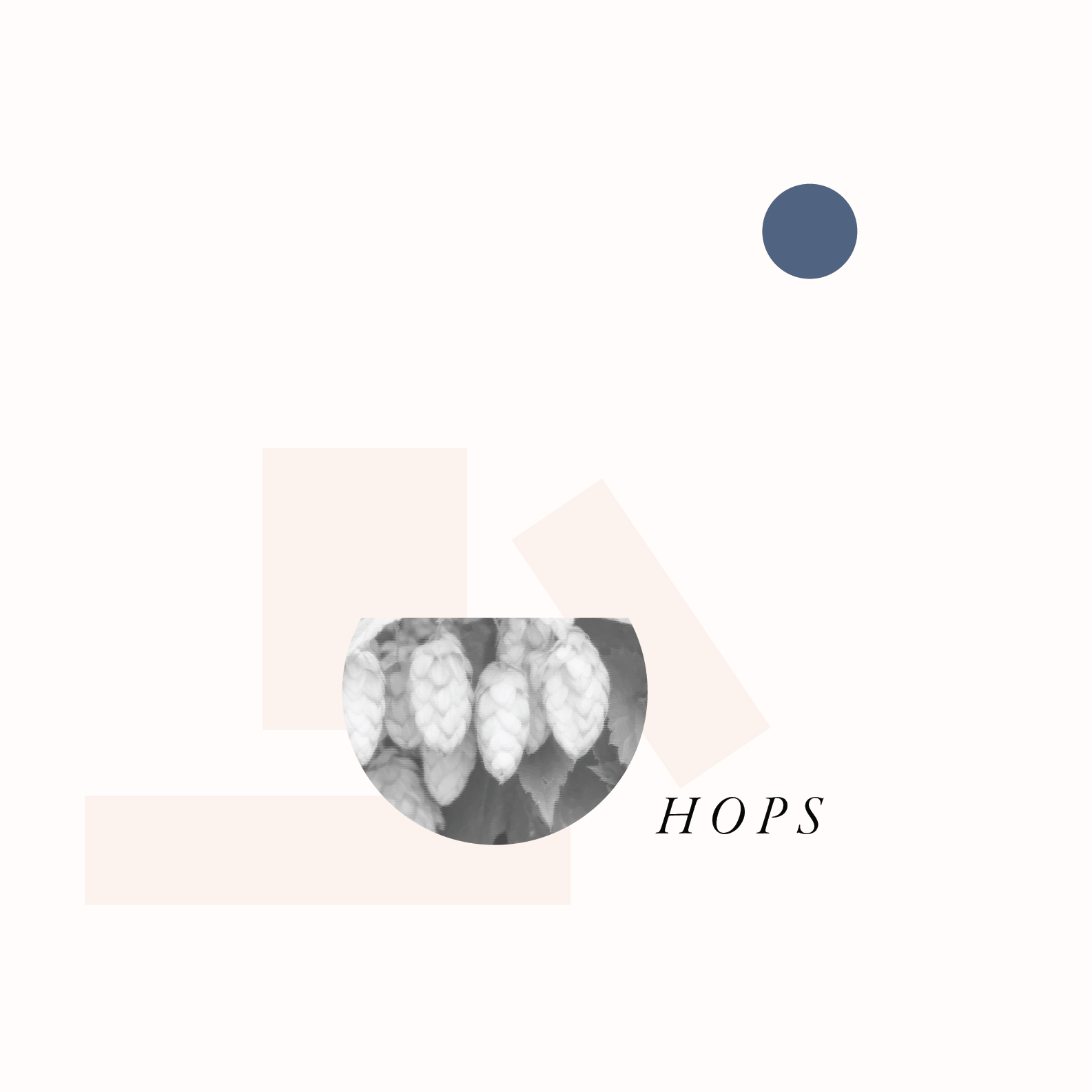 HERB GRAPHIC - HOPS