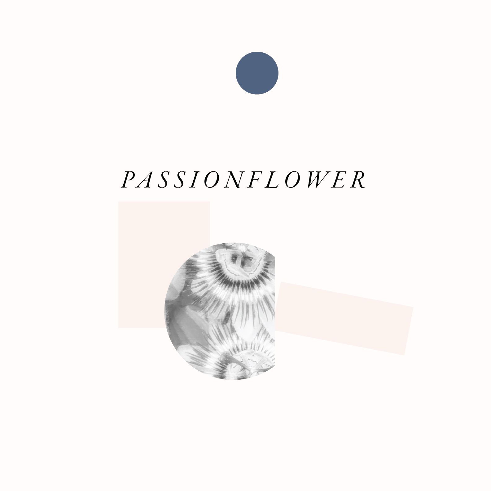 HERB GRAPHIC - PASSIONFLOWER