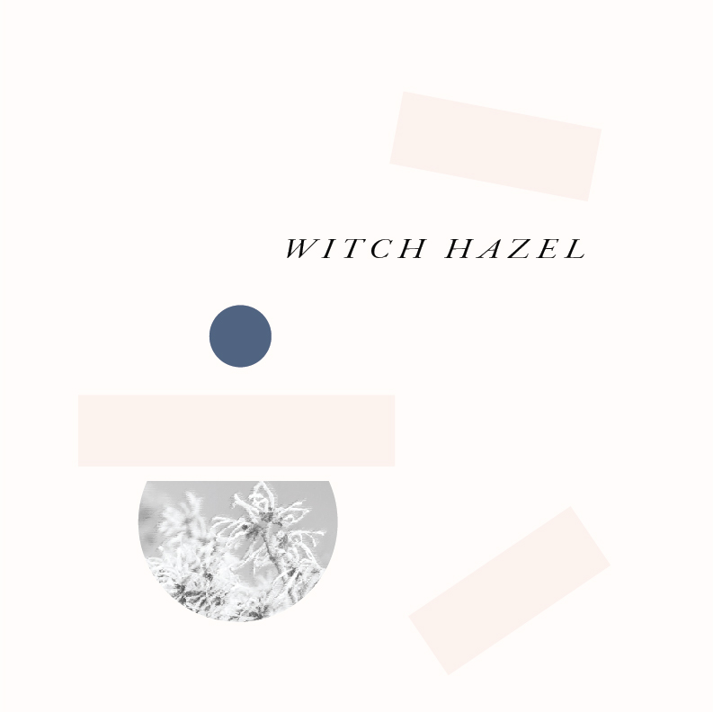 HERB GRAPHIC - WITCH HAZEL